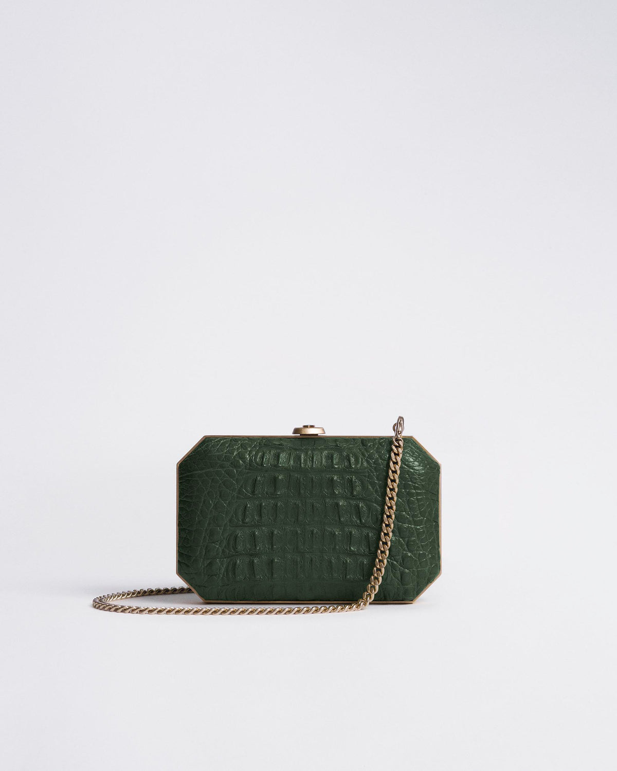 Rainforest Green_01