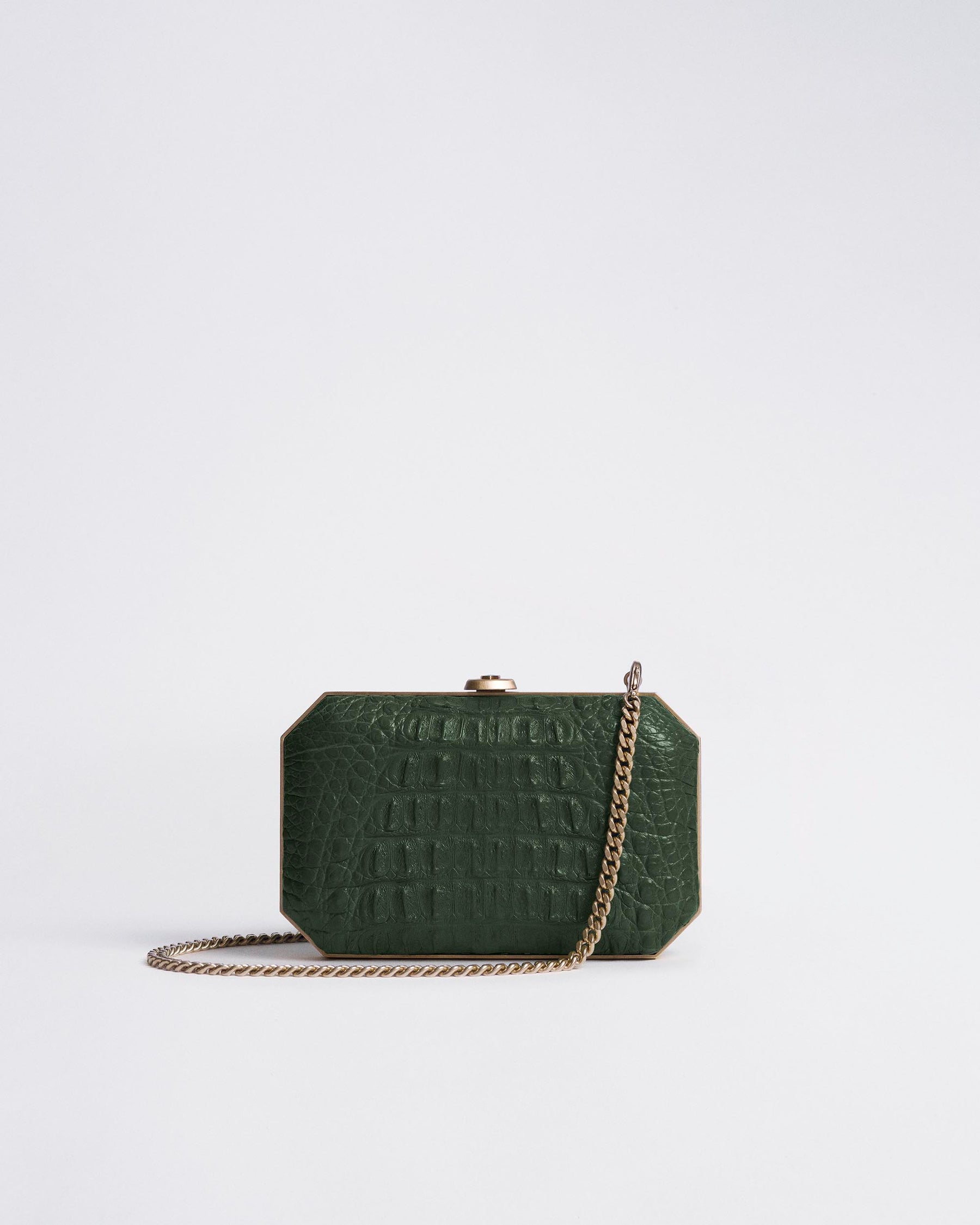 Rainforest Green_01