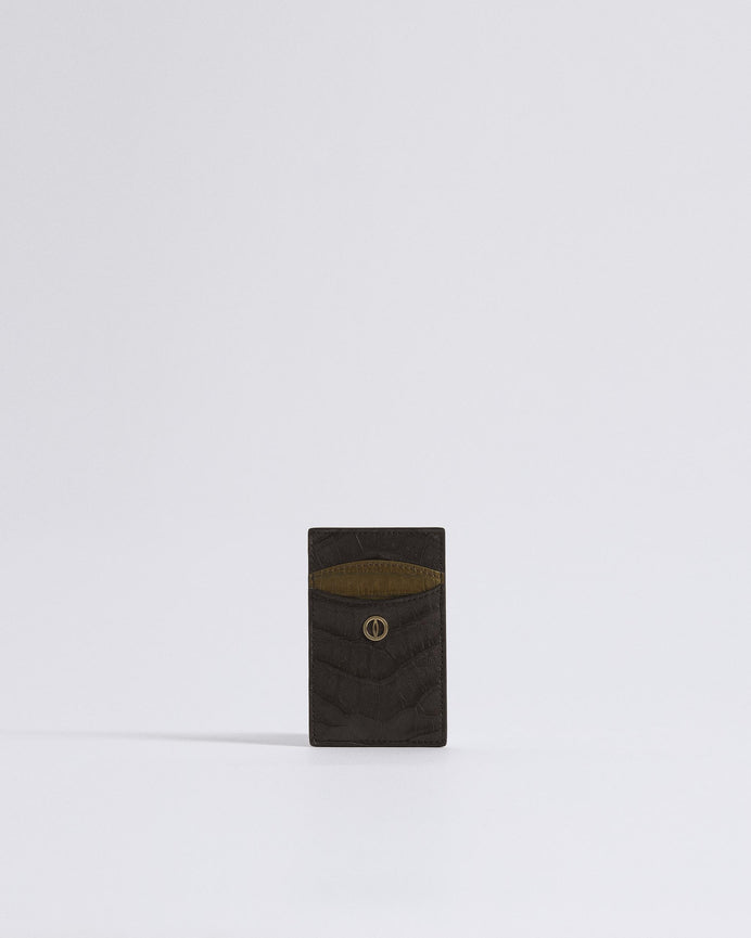 Earth Brown_01