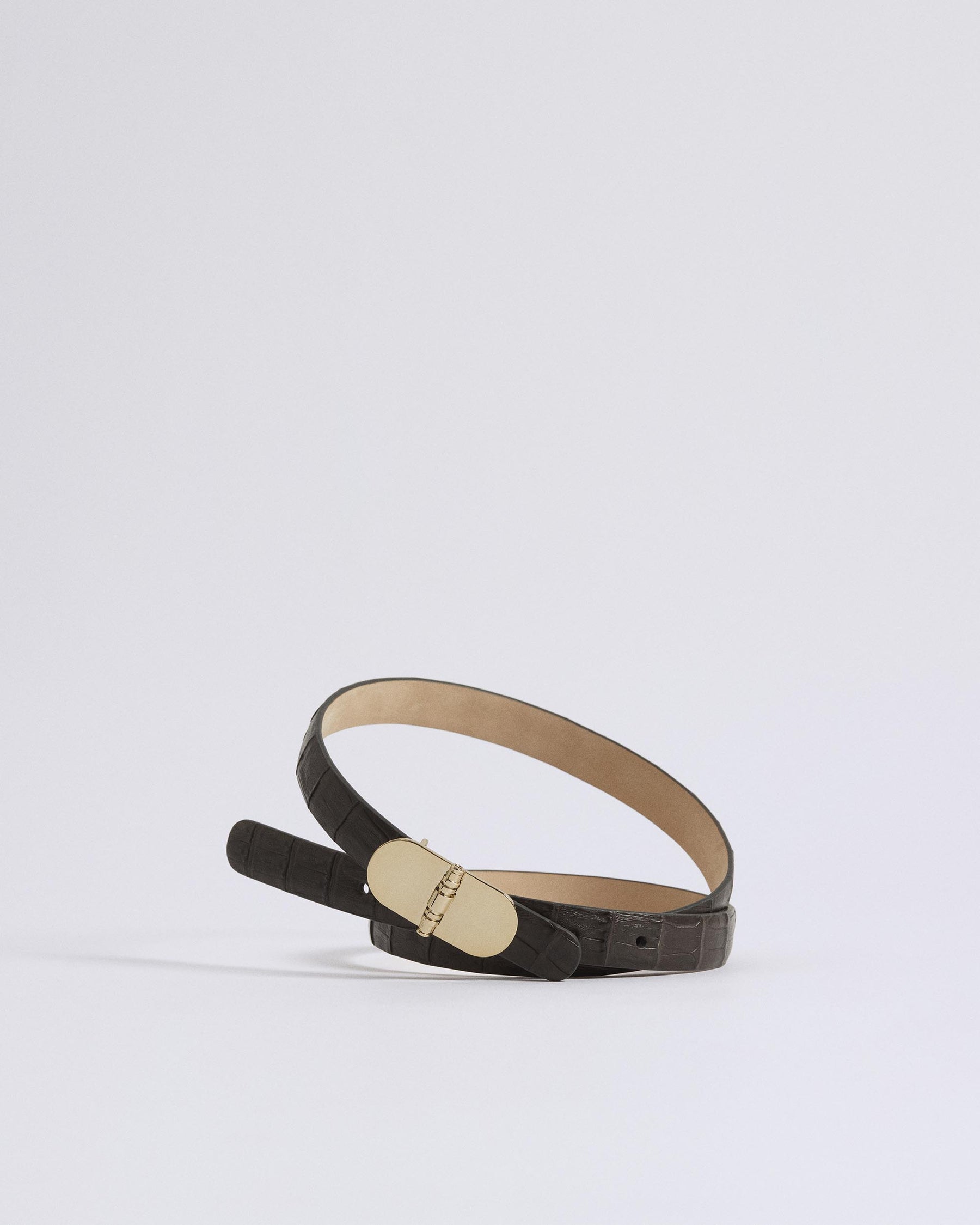 Earth Brown_01