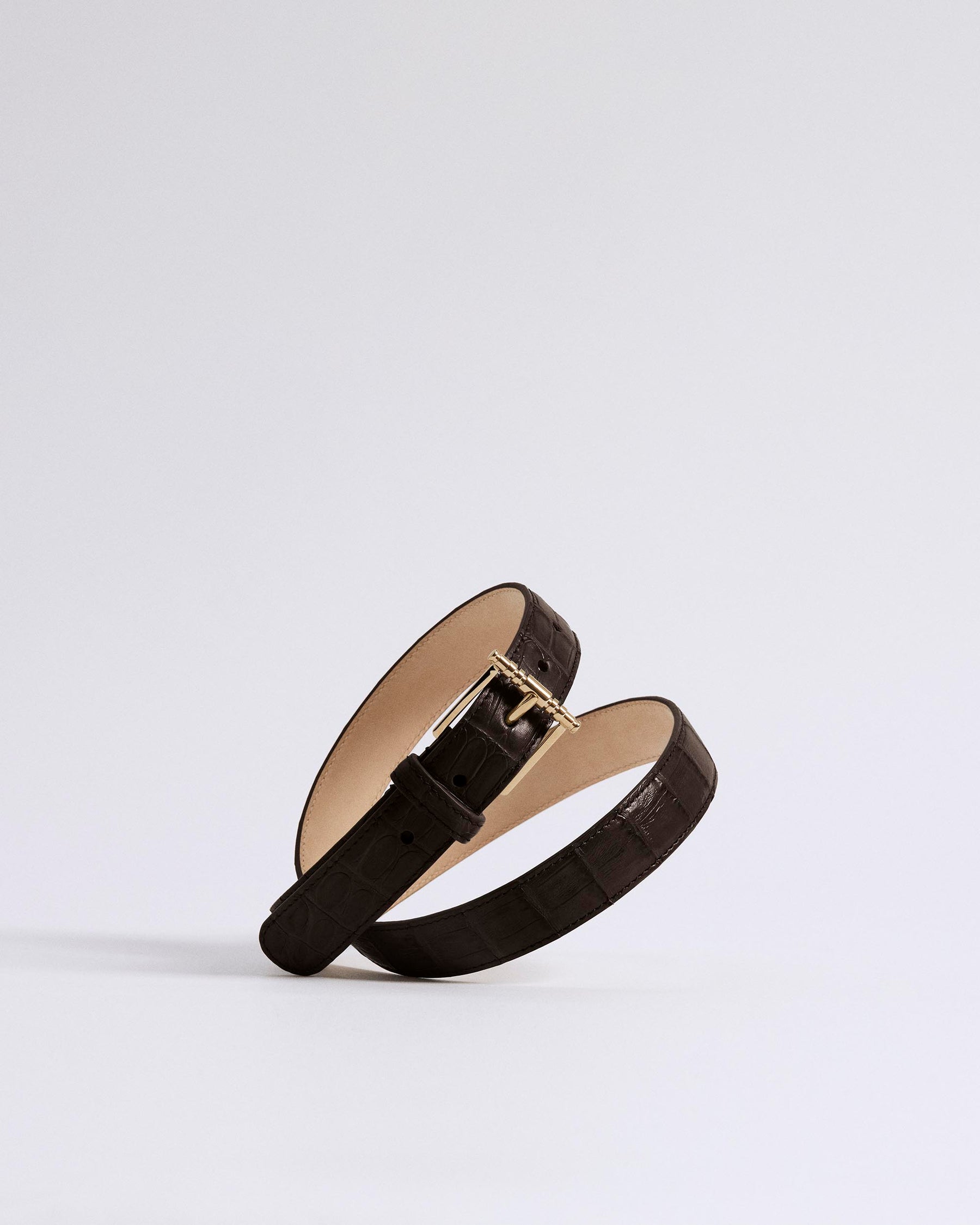 Earth Brown_01
